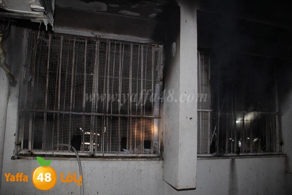 fire tomashin 0129 (10).JPG